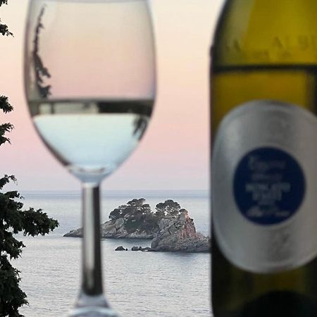 Appartement Seahaven à Petrovac Extérieur photo