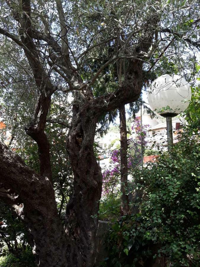 Appartement Seahaven à Petrovac Extérieur photo